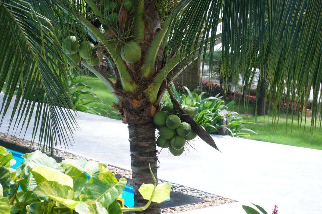 Ravenala Muine Resort Phan Thiết Ngoại thất bức ảnh